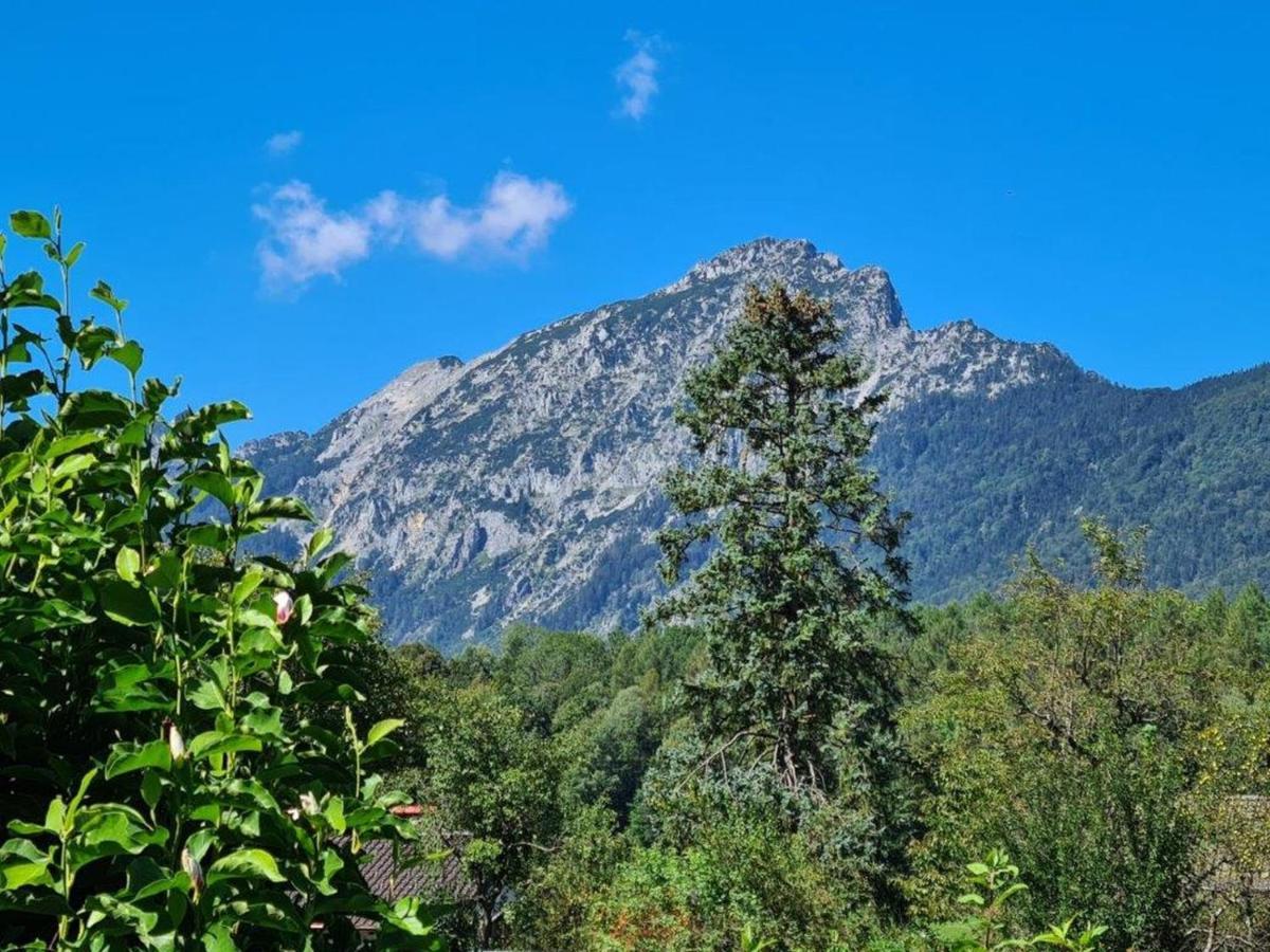 Ferienwohnungen Sommer Bayerisch Gmain Dış mekan fotoğraf